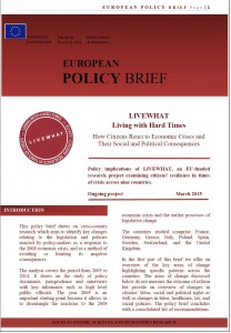 policy brief
